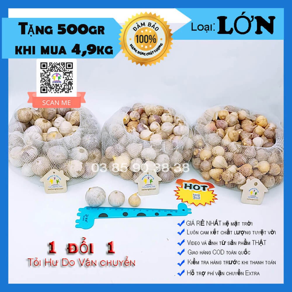 3 kg tỏi cô đơn Việt Nam loại LỚN ngon lành, tỏi 1 nhánh Hải Dương, tỏi mồ côi bón phân sinh học cực tốt cho sức khỏe