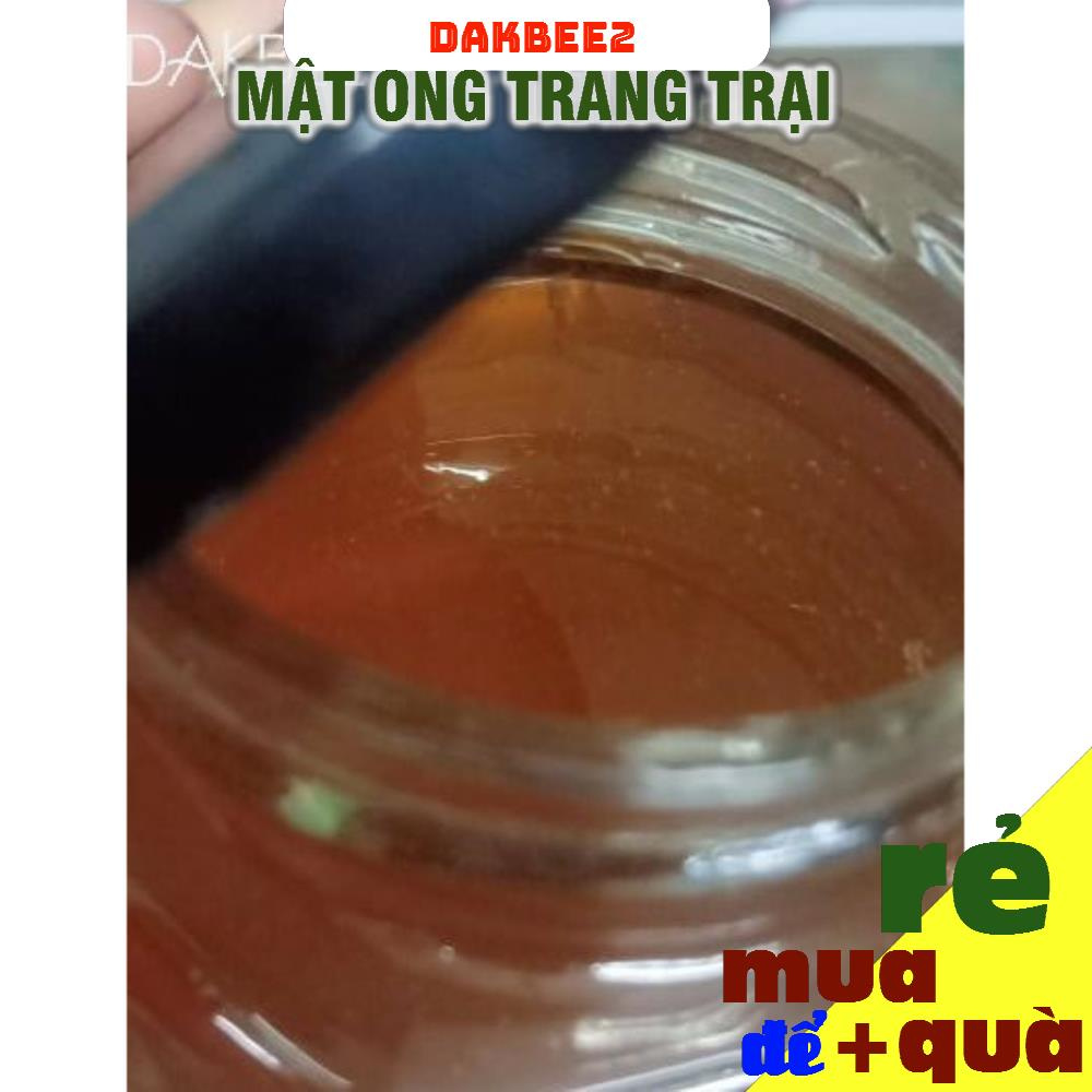 100ml Mật ong cà phê nguyên chất Daklak - Hũ thuỷ tinh - lọ thuỷ tinh hình con ong, tăng cường sức khỏe