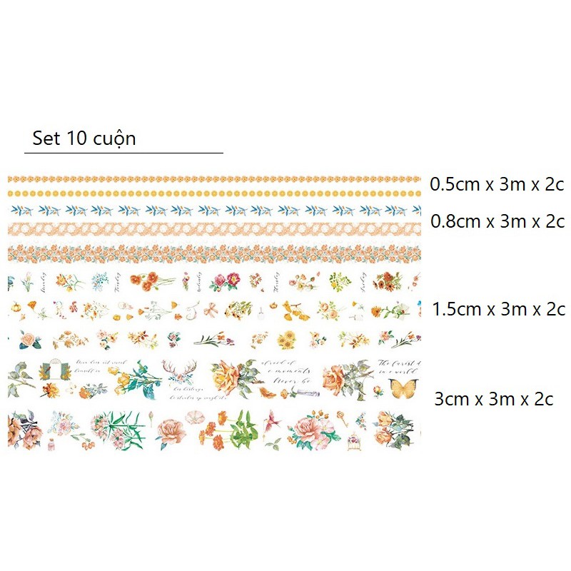 Set băng dính washi tape Sắc hoa trang trí planner WT2044