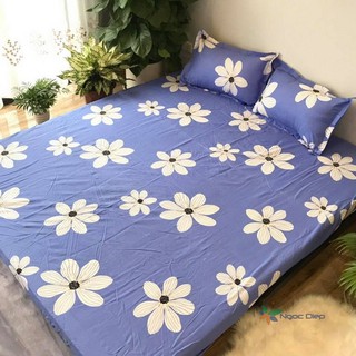 Ga gối cotton poly hoa bèo m6 / m8