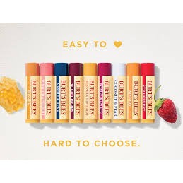 Son dưỡng môi Burt's Bees Moisturizing Lip Balm của Mỹ