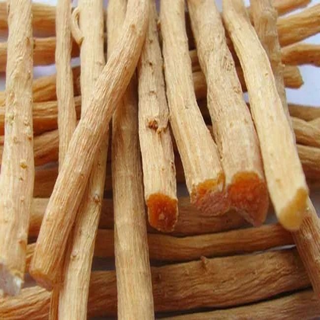 Ngưu tất khô - tấn phát
