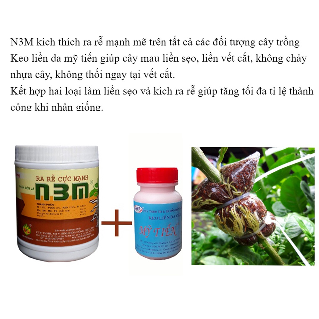 Combo 2 loại kích thích ra rễ N3M và Keo Bôi Liền Sẹo chuyên dùng cho hoa cây cảnh