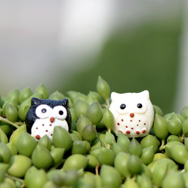 1 Đồ trang trí Chim Cú Trang Trí Vườn Cây Bonsai