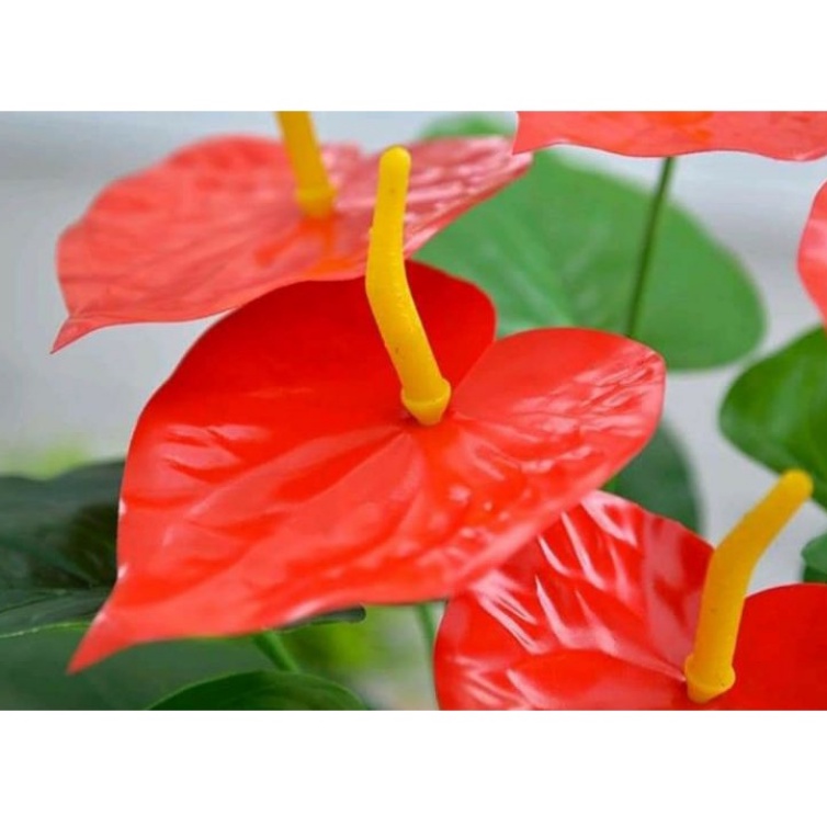 Cây Hồng Môn Yến nhựa Pvc - Cây Lan Ý