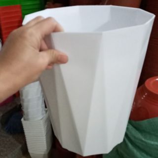 Bộ 10 chậu phi 25cm cao 29cm giá hủy diệt