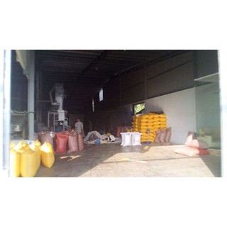 10KG NGÔ ( BẮP) NẾP XAY TO XUẤT KHẨU , XAY NHỎ NẤU BẮP HẤM VÀ BẮP HẠT KHÔ