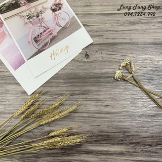 Thảm chụp hình ảnh sản phẩm - phông nền chụp hình ảnh vân gỗ trắng tím S8