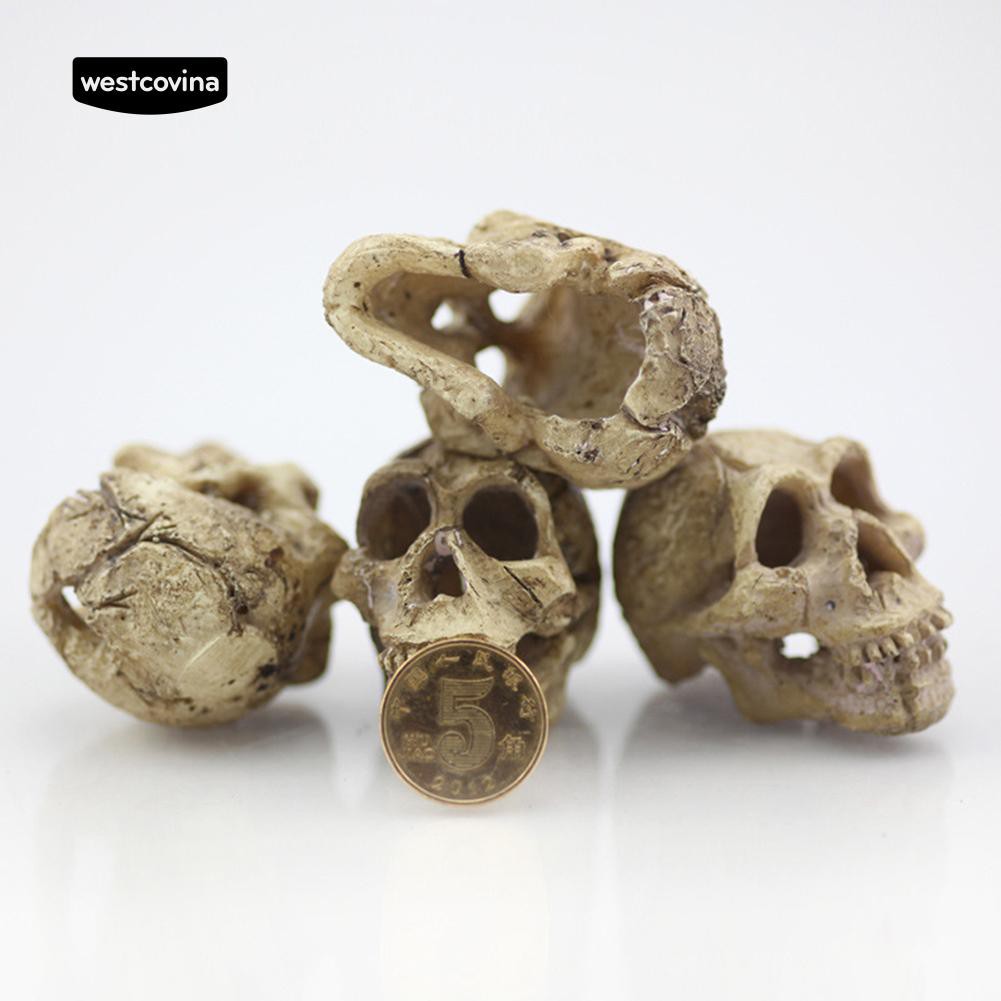 Đầu lâu trang trí hồ cá