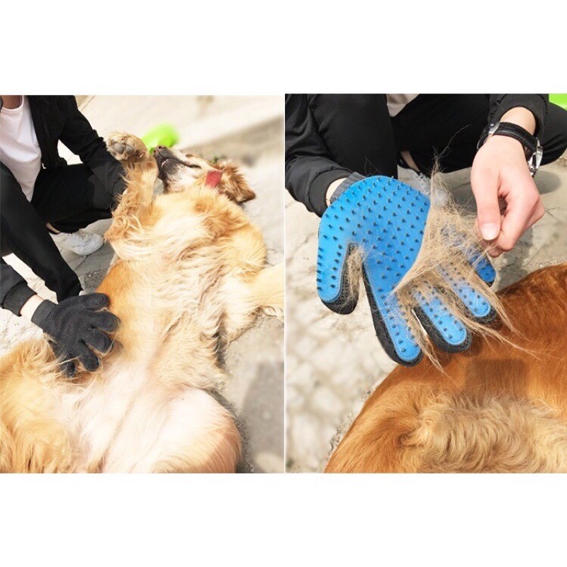 [Mã PET50K giảm Giảm 10% - Tối đa 50K đơn từ 250K] Găng Tay Chải Lông Lấy lông Rụng Cho Chó Mèo