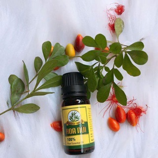 Combo 15 chai tinh dầu tràm hoa núi