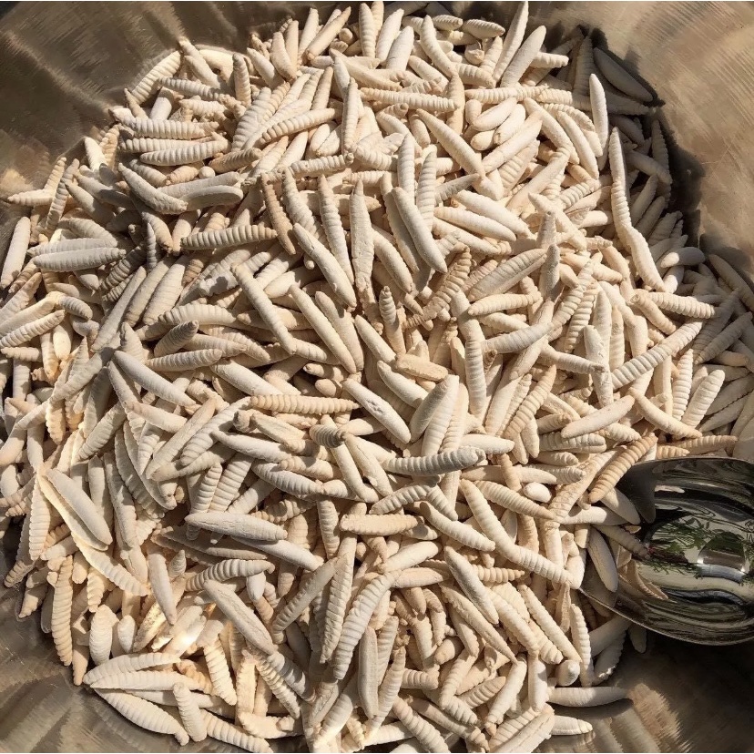 Bánh đuông dừa ( bánh con sâu) loại ngon 500g