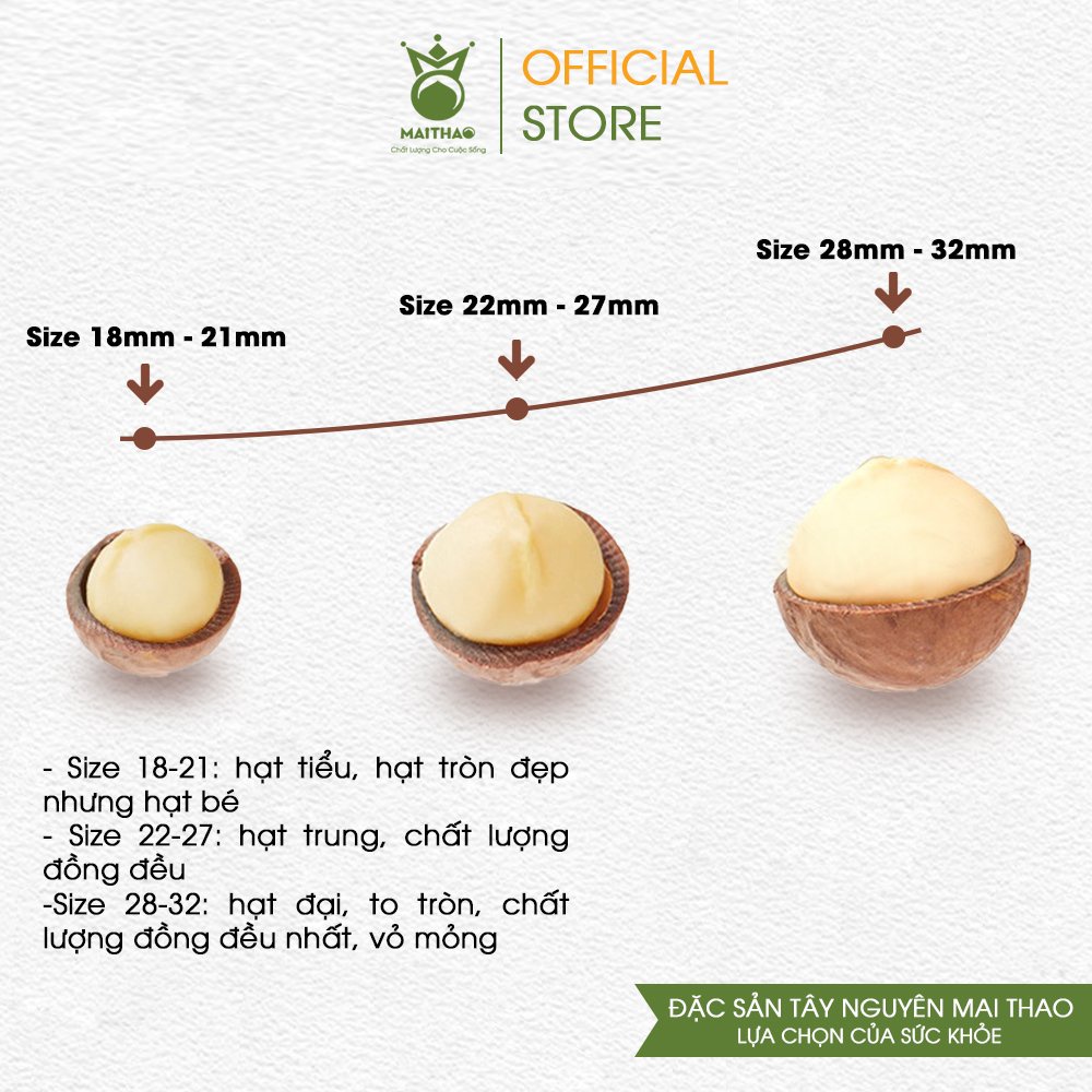 Hạt macca sấy vùng Cao Nguyên Lâm Đồng - Mai Thao hũ 450g - Hạt đều đẹp size 28-32