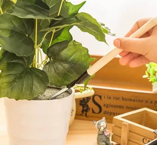 Bộ dụng cụ chăm sóc cây tiểu cảnh