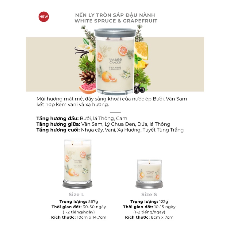 Nến ly tròn sáp đậu nành Yankee Candle size L (567g) - White Spruce & Grapefruit