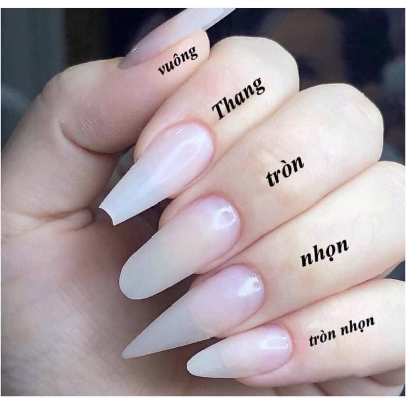 Móng giả_nail box móng thiết kế đặt làm theo yêu cầu