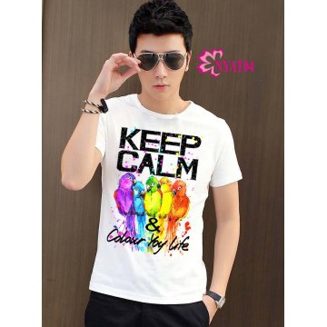 Áo thun nam Keep calm qa12