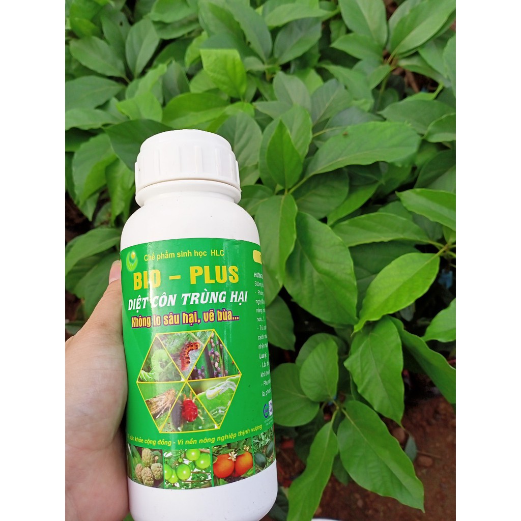 CHẾ PHẨM SINH HỌC BIO PLUS HLC- Hàng chính hãng công ty