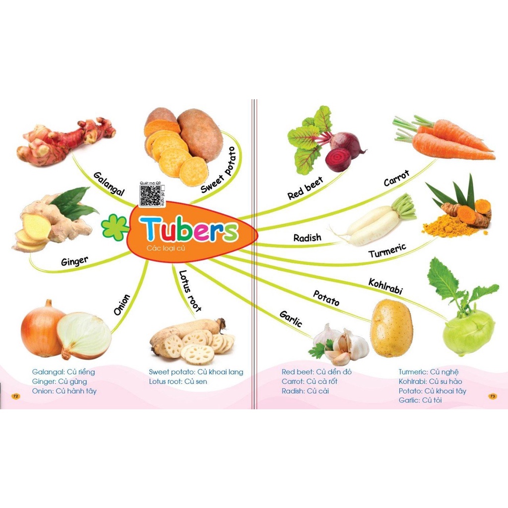 Sách - Chinh Phục Từ Vựng Tiếng Anh - Theo Sơ Đồ Tư Duy Mind Map