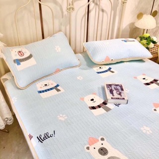 Chiếu điều hòa tencel loại 1 (1 chiếu + 2 vỏ gối)