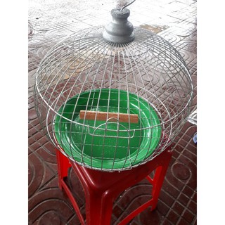 Lồng cu gáy xi thép 30cm + khay hứng phân ( đặt tối đa 2 lồng)
