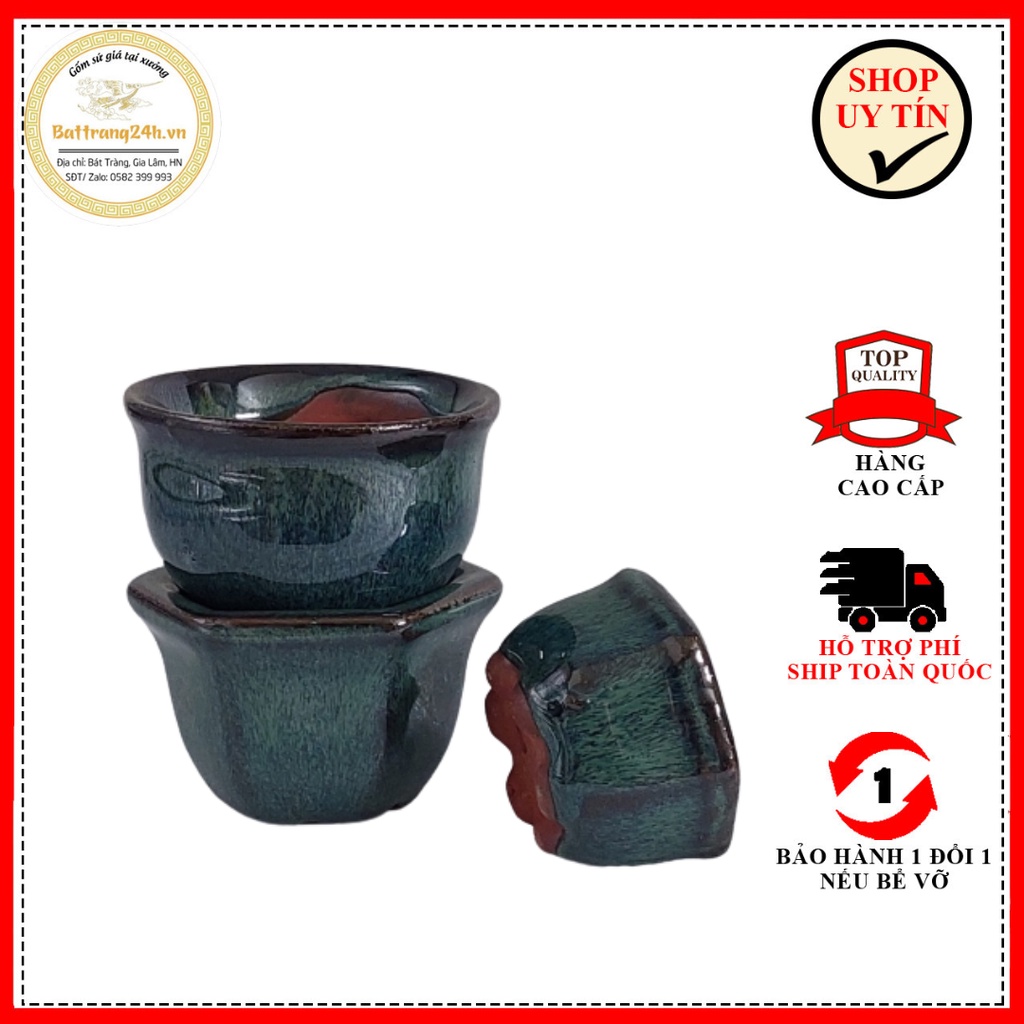 Sét 3 Chậu Cây Cảnh Mini Trồng Sen Đá Xương Rồng Hoa Nhỏ Để Bàn Làm Việc Không Gian Phòng Ngủ Tạo Cảm Giác Dễ Chịu
