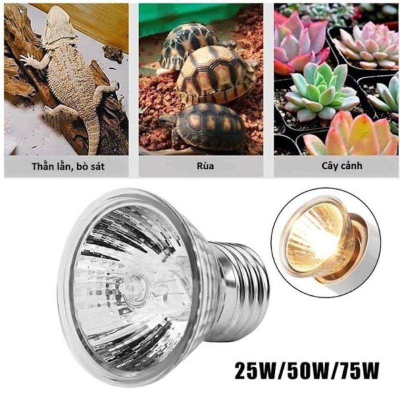 Đèn Sưởi Ấm +UVA+UVB 3.0 chuyên dụng cho bò sát, rùa nước