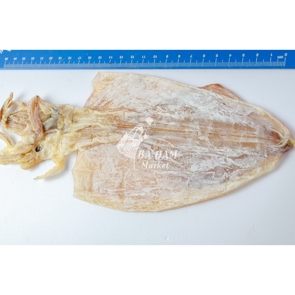 KHÔ MỰC ỐNG CÂU BIỂN RAM RANH PHƠI TÀU LOẠI 1, CHẤT MỰC RẤT NGỌT (1000GR NET)