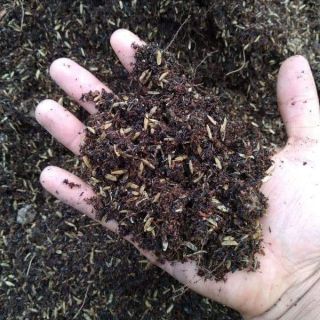 Giá thể đất trồng cây bạn thích (1túi 5kg)
