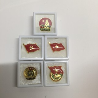 huy hiệu đội