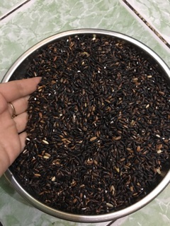 1kg Gạo nếp cẩm Điện Biên