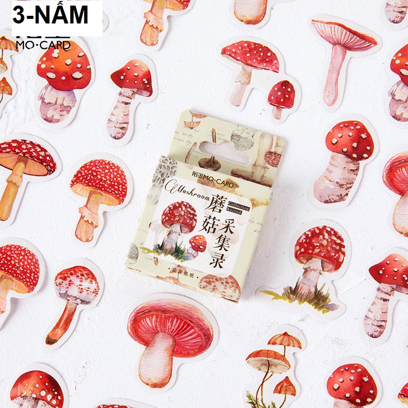 Hộp 45 sticker trang trí planner scrapbook M2