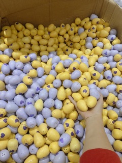 Combo 30 Trứng nở Hatchimals đủ 3 màu