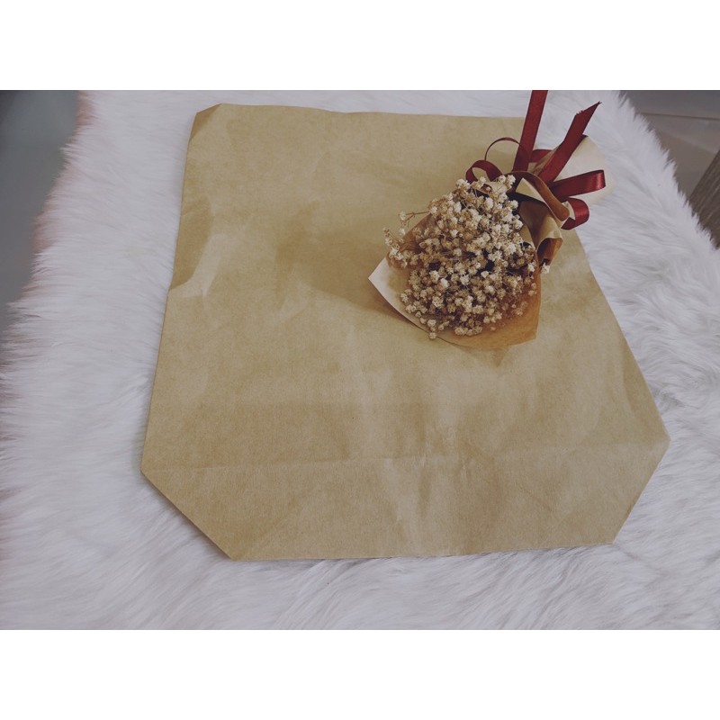 100 TG nâu size 30 x 40 cm đựng vừa quần áo, gói rau củ