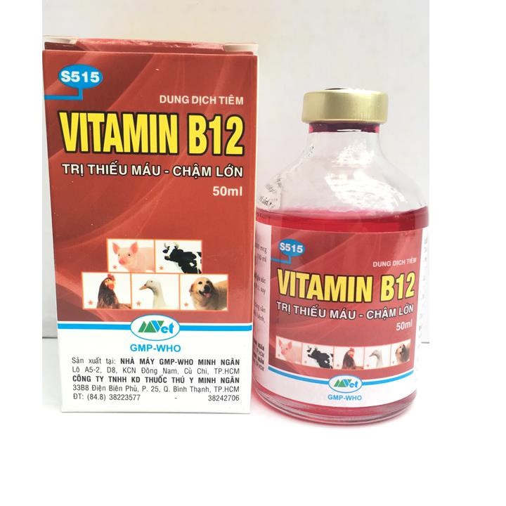 Vitamin B12 trị bệnh thiếu máu cho động vật, giải độc cho cây chai 50ml