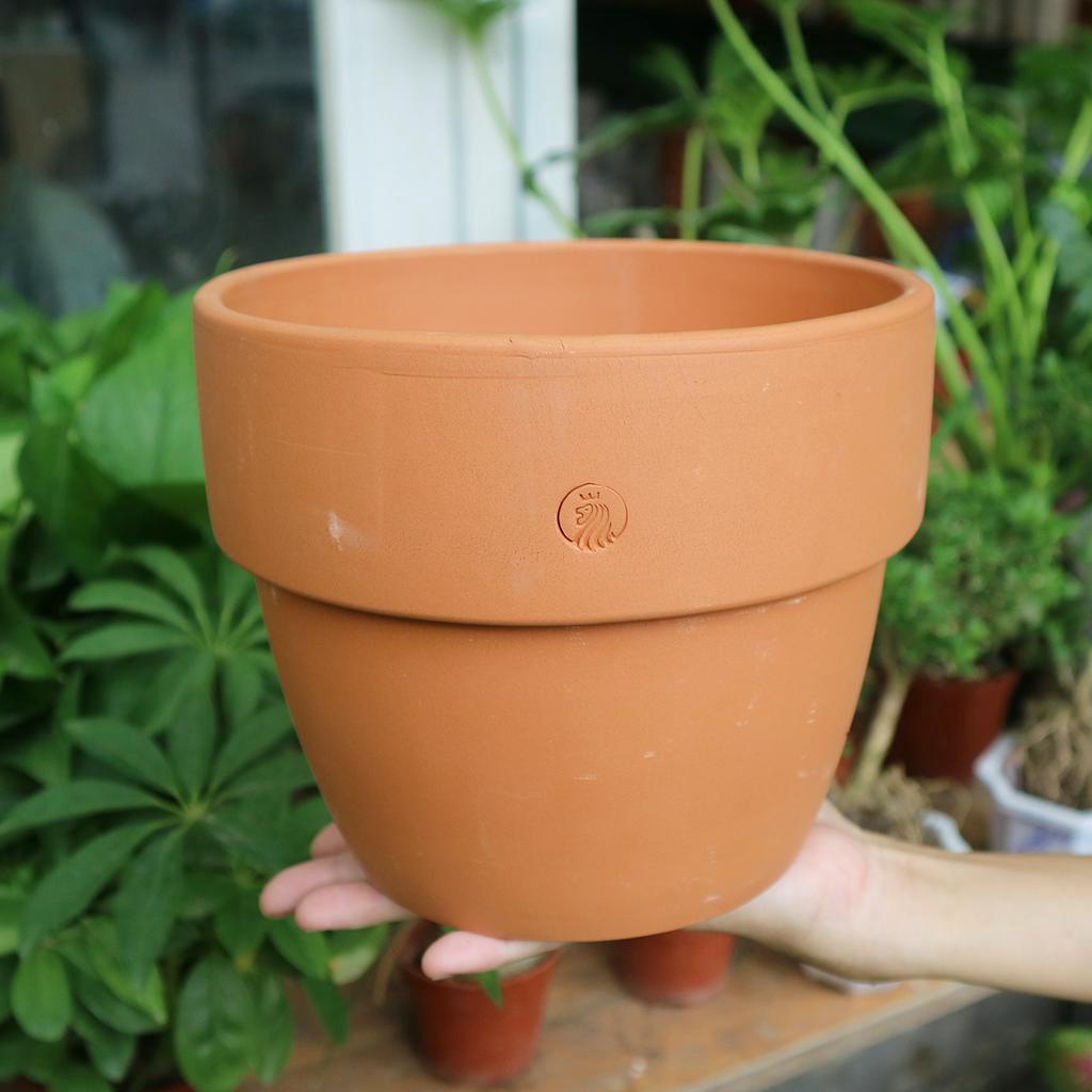 Chậu đất nung ENVIE ly gờ bầu vintage, thích hợp trồng các loại cây kiểng lá