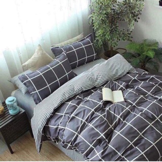 Combo 3 set ga gối cotton poly khách sỉ