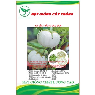 Hạt giống cà bát trắng cao sản ct264 - gói 0,5gram