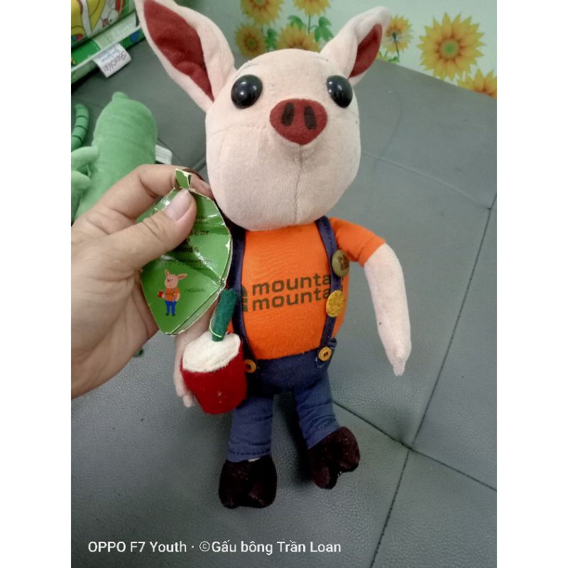 Gấu bông tháng 11