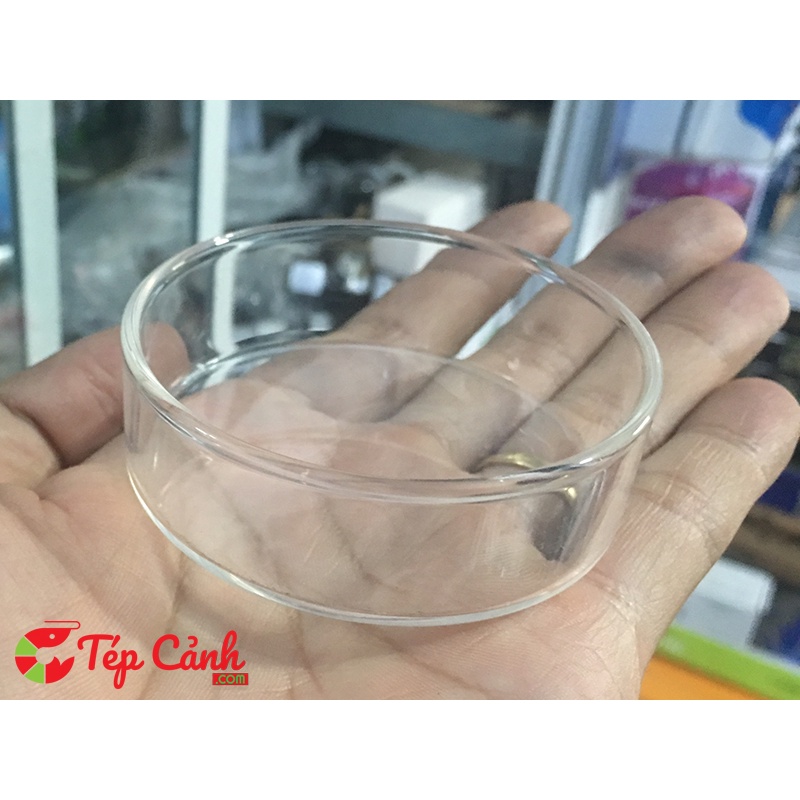 Chén Thủy Tinh Đựng Thức Ăn Cho Tép Cá Loại - Không Hư Hại Nền