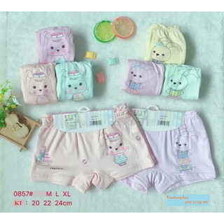 Ảnh shop tự chụp. Sỉ combo 10 quần chip đùi bé gái, hình chú thỏ dễ thương - Hàng cotton cao cấp, đẹp. Shop bao chất
