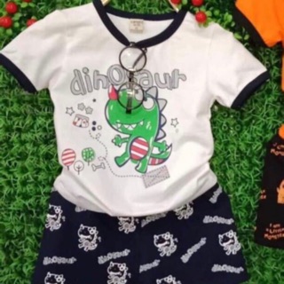 Combo Đồ thun bé trai size đại