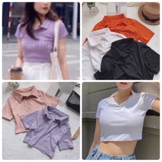 Áo crop cổ bẻ
