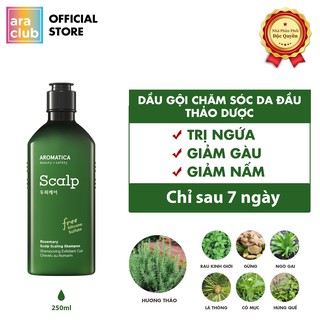 [Hàng chính hãng] Dầu gội giảm gàu, giảm nấm chiết xuất hương thảo Aromatica Rosemary Scalp Scaling Shampoo 250ml