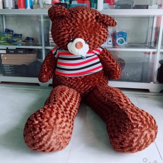Teddy khổ vải m8