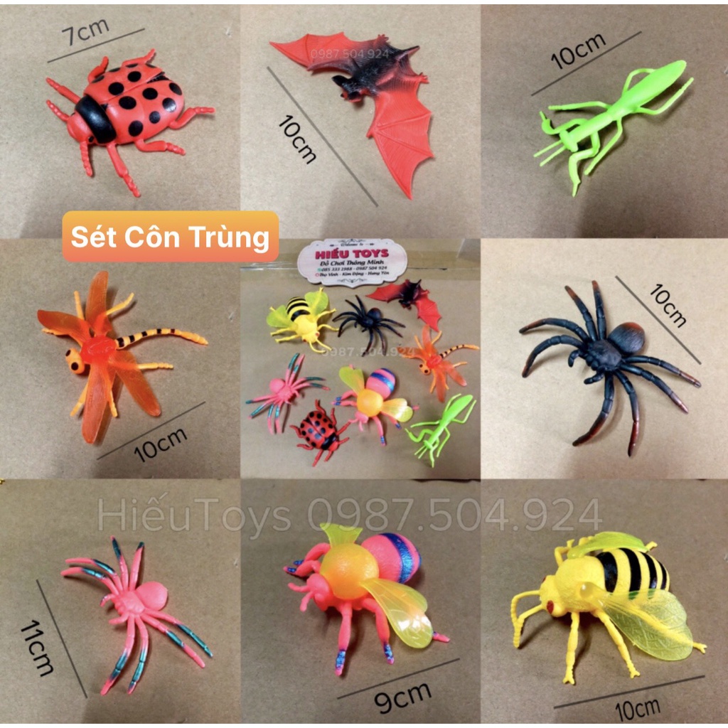 Mô Hình Động Vật Sét 10 Thú Rừng Cỡ Lớn  Chất Liệu Cao Cấp An Toàn Cho Bé Đồ Chơi Trẻ Em Từ 1 Đến 8 Tuổi Hiếu Toys