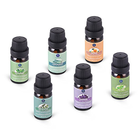 Tinh dầu nguyên chất 6 chai 10ml (lavender, khuynh diệp, tràm trà, sả chanh, bạc hà, cam)