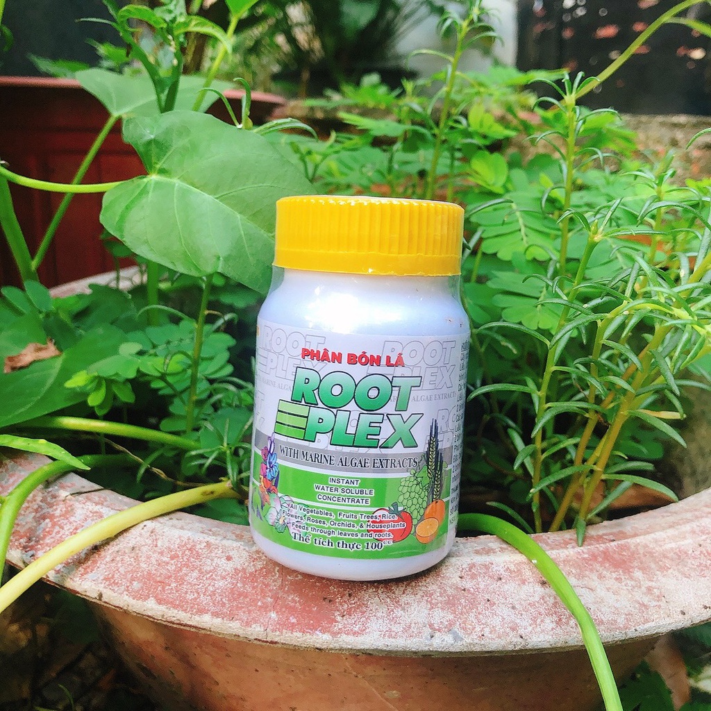 Phân bón hữu cơ rong biển root plex hũ 100ml