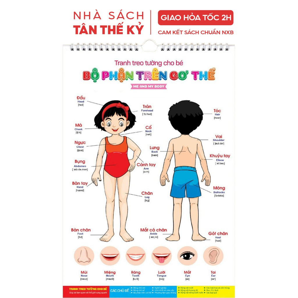 Bộ tranh treo tường Việt Hà cho bé 3 tuổi nhiều chủ đề