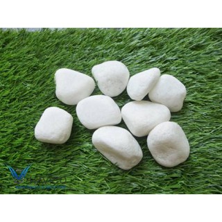 10kg Sỏi trắng dùng để trang trí nhập khẩu-  chuyên dụng.